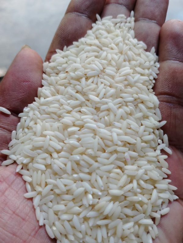 কাটারি নাজির ২৫ কেজি